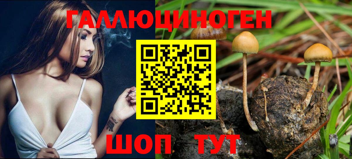 Псилоцибиновые грибы мицелий Уварово